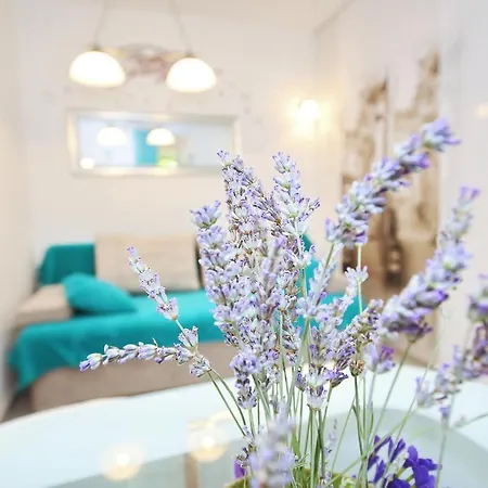 Apartment My Dream Zadar