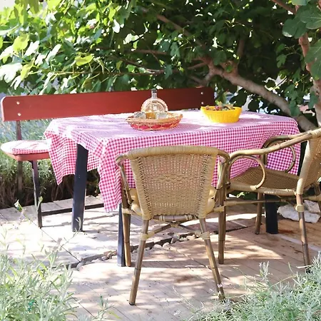 My Dream * Ζαντάρ